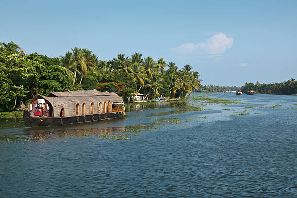 istock Houseboat on Kerala backwaters, India 155596336
