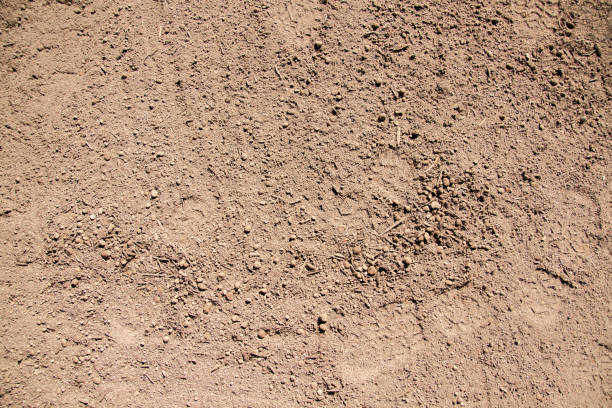 istock Texture of soil, view from above 1555965930