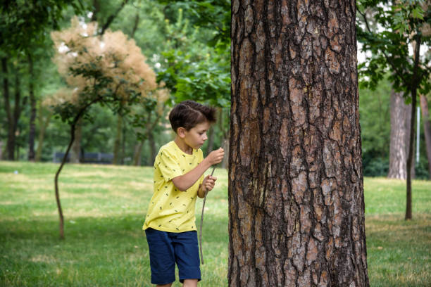 un garçon blanc de 7 à 9 ans regarde attentivement l’arbre tout en se tenant dans la forêt près d’un hêtre au début de l’été ou au printemps - little boys 6 7 years child standing photos et images de collection