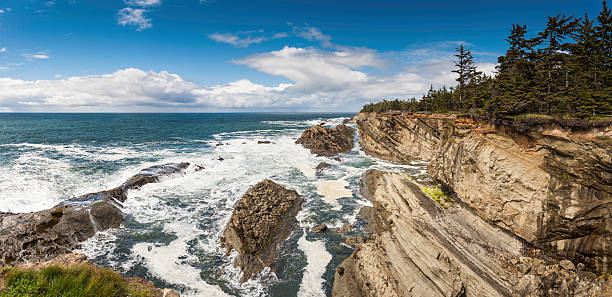 istock Pacific coast panorama ocean cliff surf Oregon 155596906