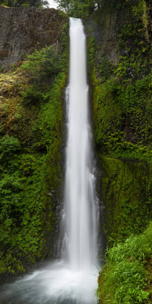 istock Canyon waterfall green forest wilderness Oregon 155596918