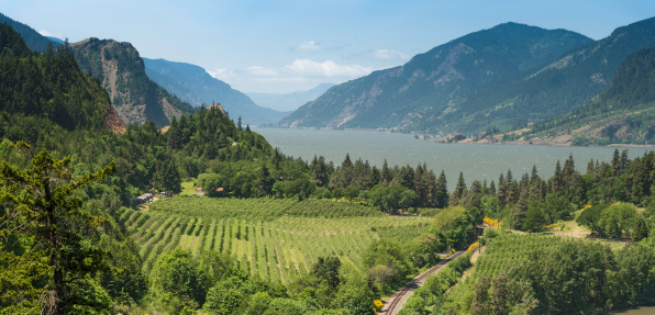 Sweeping panoramic vista over the orchards and forests, dramatic rocky bluffs and rail tracks of the Columbia River Gorge, the picturesque National Scenic Area in the Cascade mountains of Oregon, USA. ProPhoto RGB profile for maximum color fidelity and gamut.