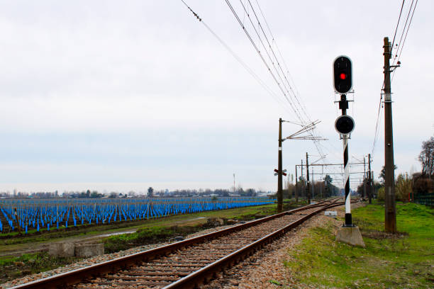 istock Rural landscape with railway line, Maule Region, Chile 1555971484