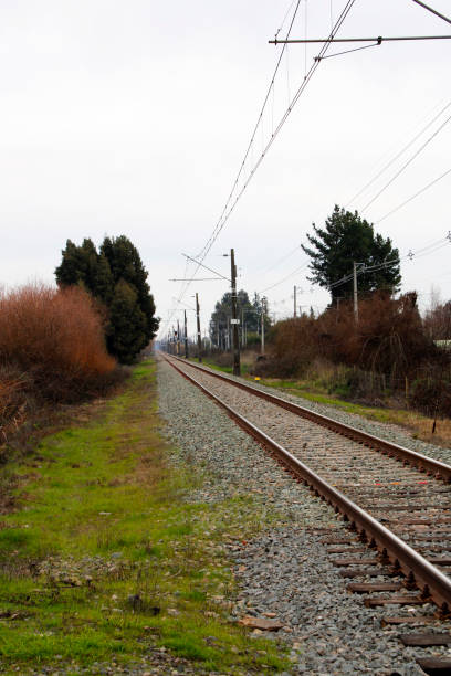 istock Rural landscape with railway line 1555972049