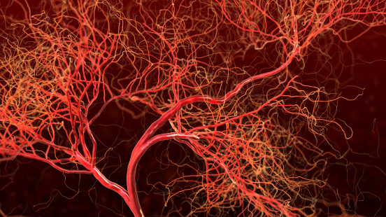 Abstract Blood vessels. 3d illustration