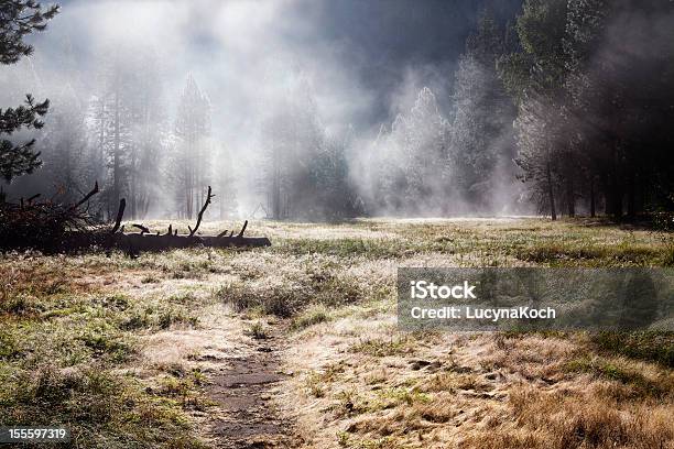 Foggy Morgen Im Yosemite Valley Stockfoto und mehr Bilder von Baum - Baum, Berg, Farbbild