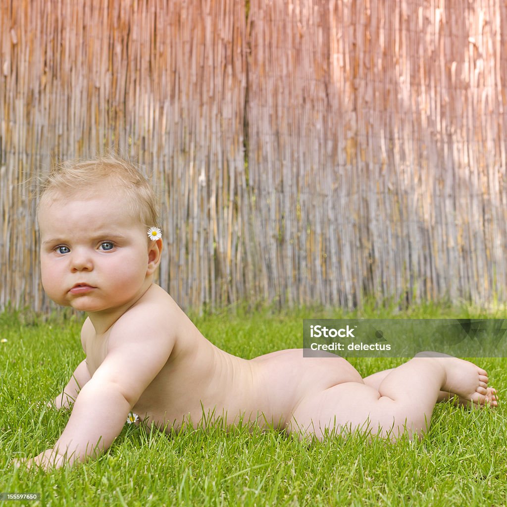 naked baby girl lying in grass Naked baby girl 6 months old, lying in the grass. 0-11 Months Stock Photo