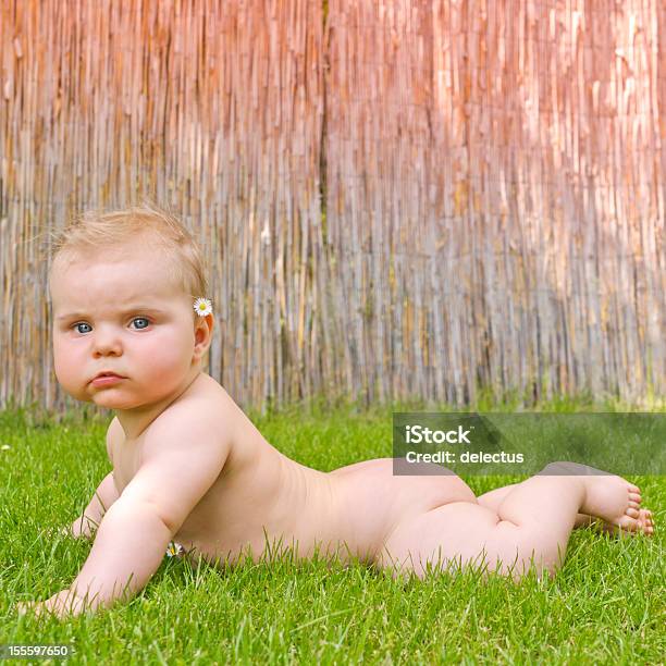 Naked Baby Girl Lying In Grass Stock Photo - Download Image Now - 0-11 Months, 2-5 Months, 6-11 Months