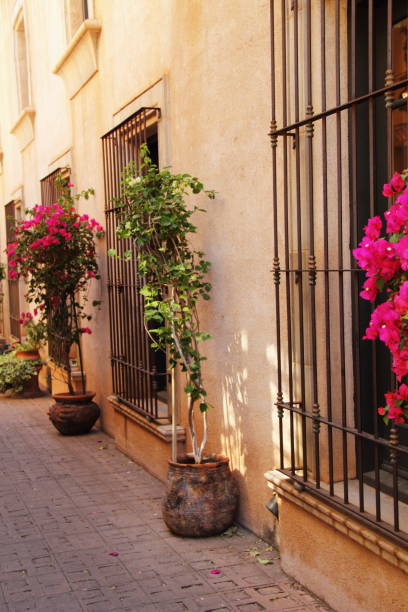 istock Alley Way Apartments 155597744