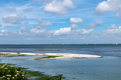 Panoramic view over the waters of Grevelingen lake with sandbar in front in Zeeland, the Netherlands on a sunny day with horizon filled with small sail ships and large cumulus clouds in blue sky