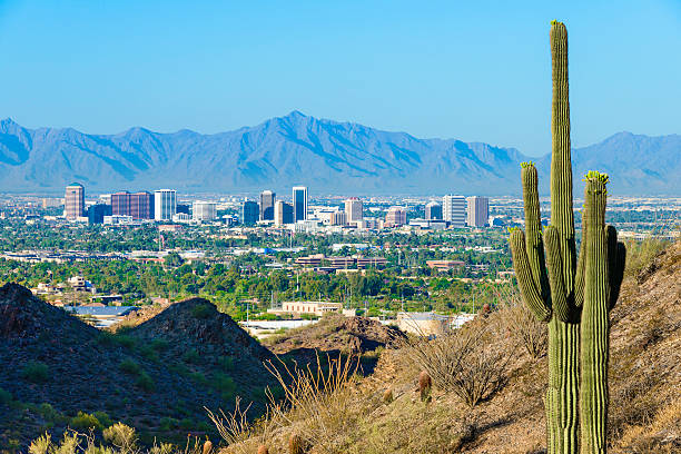 skyline von phoenix, umgeben von saguaro kaktus und bergigen desert - phoenix stock-fotos und bilder