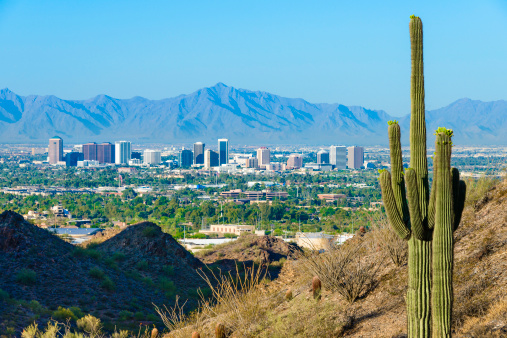 Phoenix Arizona skyline framed by saguaro cactus and mountainous desert