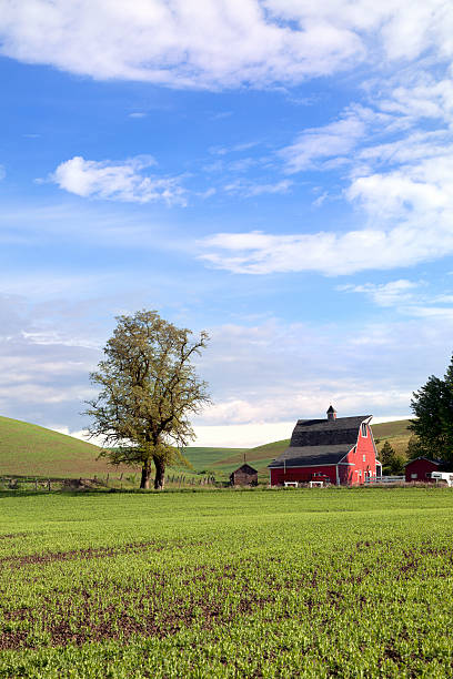 istock American Farmland 155598415