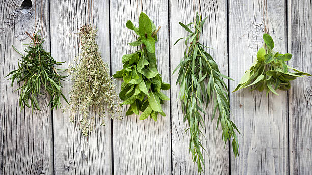 Herbs  tarragon horizontal color image photography stock pictures, royalty-free photos & images