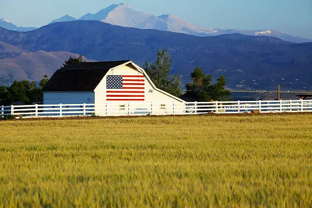 A barn with the American flag painted on the side standing in front of the Rocky Mountains of Colorado. Wheat field in foreground for great copy space.