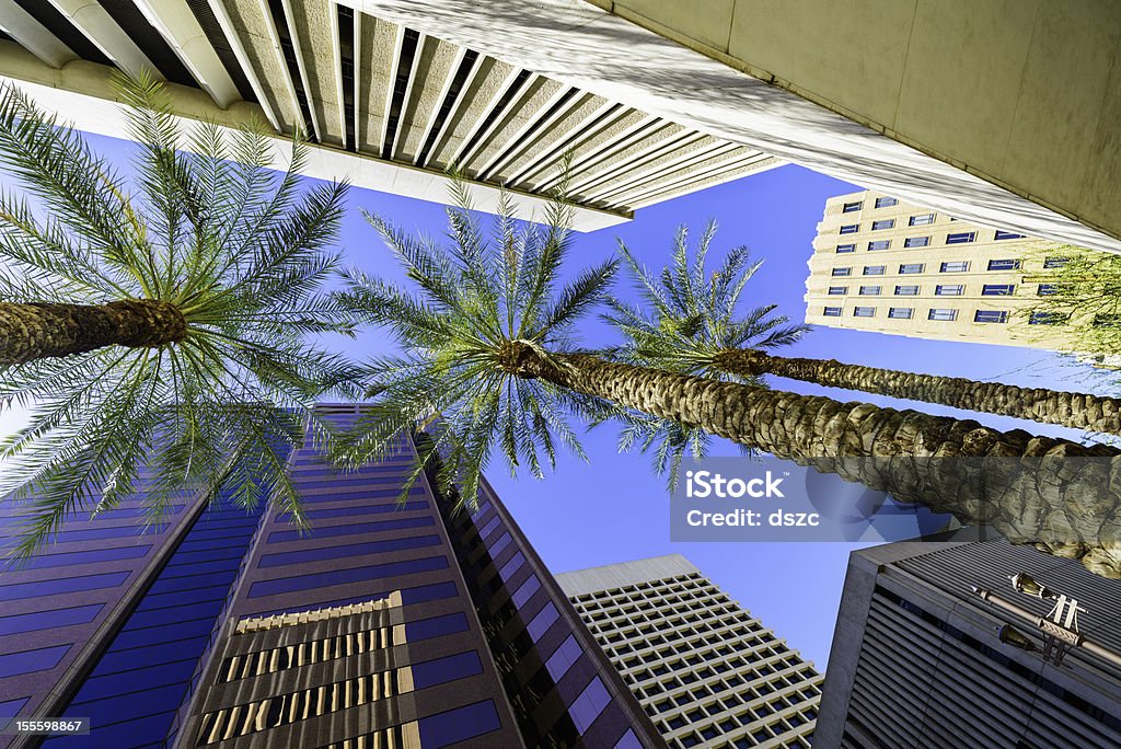 Phoenix, Arizona, rascacielos y palmeras ciudad - Foto de stock de Phoenix - Arizona libre de derechos