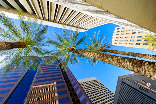 Phoenix Arizona skyscrapers and palm trees cityscape