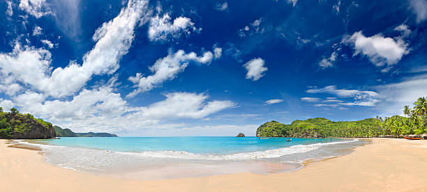 istock Tropical beach with huts, coconut trees and, deep blue sky 155599044
