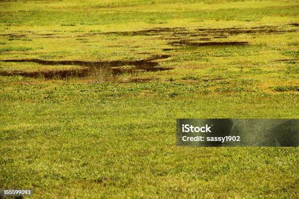 Viel Grassland Wasser Gras Stockfoto und mehr Bilder von Formatfüllend - Formatfüllend, Abmachung, Brackwasser