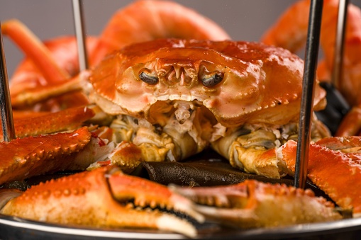 A closeup of freshly-cooked lobster on a tray