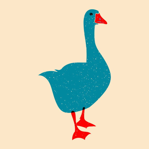 Duck, goose. Design for print, sticker, party decoration, logo, emblem, magazine prints or journal article, t-shirt design, poster. Vector illustration with Riso print effect