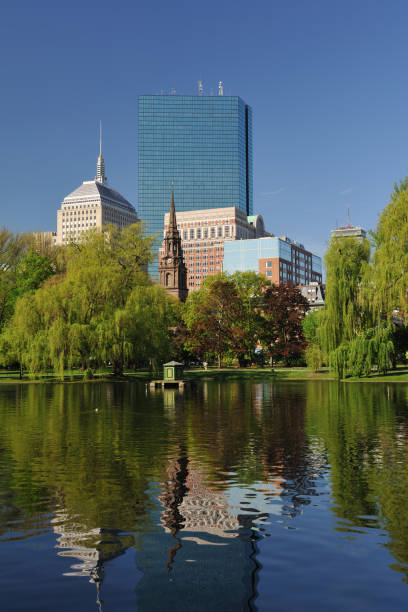 istock Lake at Boston Common with City Reflection 155600109