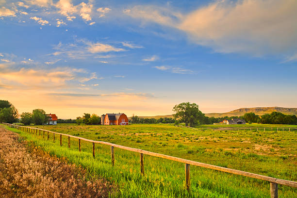countryside and farms at sunset in rural Montana countryside with farm buildings at sunset in rural Montana farmhouse stock pictures, royalty-free photos & images