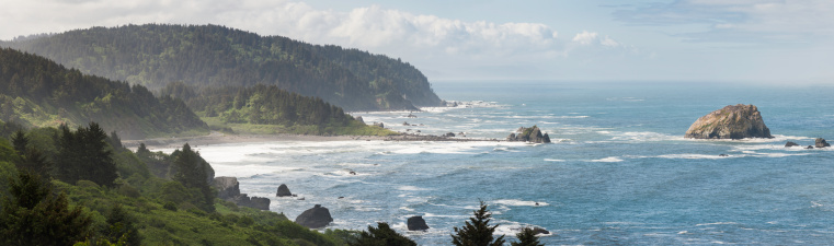 White surf crashing onto the dramatic rocky coastline of Oregon, with pine forest bluffs overlooking the beaches and blue Pacific Ocean. ProPhoto RGB profile for maximum color fidelity and gamut.