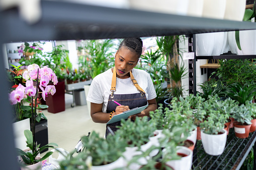 Female florist of Black ethnicity doing inventory and quality control of plants at the flower shop