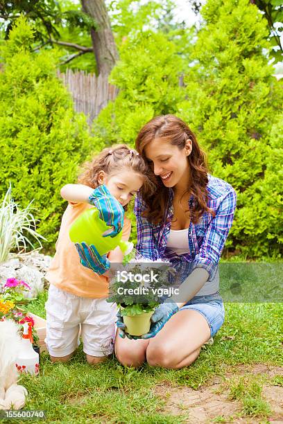 ご家族ご一緒の花を植えるます - 娘のストックフォトや画像を多数ご用意 - 娘, 母親, 水撒き