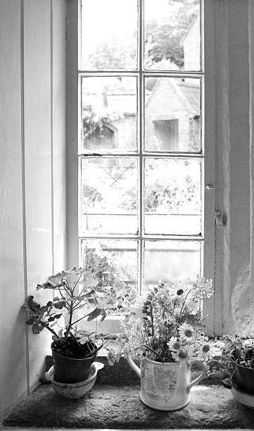 Wild Flowers On An Old Widow Sill. B&W