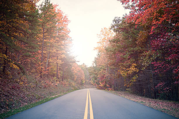istock Blue Ridge Parkway, Virginia, USA 155601623