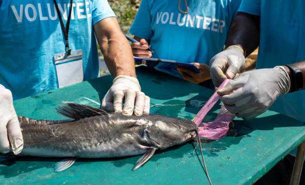 istock team of volunteers pulling trash out of fish mouth 1556016429