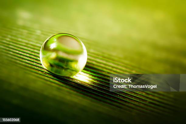 Water Drop Stock Photo - Download Image Now - Close-up, Color Image, Copy Space