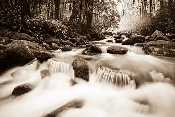 Whitewater dans le Smoky Mountains - Photo