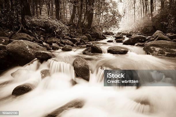 Photo libre de droit de Whitewater Dans Le Smoky Mountains banque d'images et plus d'images libres de droit de Image en noir et blanc - Image en noir et blanc, Paysages, Paysage