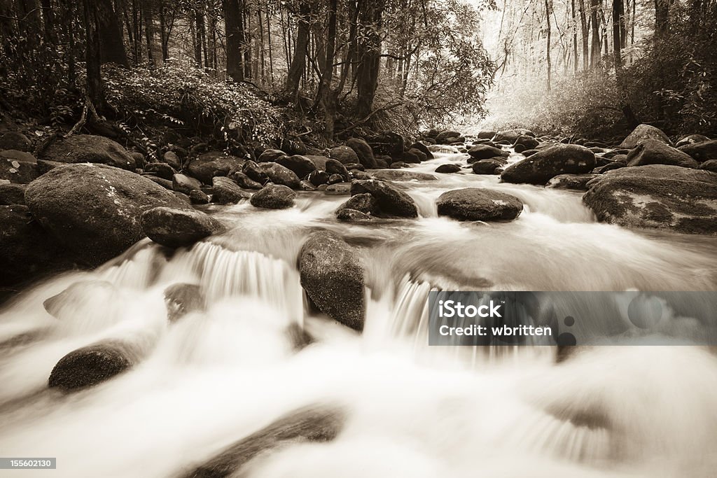 Whitewater w gór Smoky Mountains - Zbiór zdjęć royalty-free (Czarno biały)