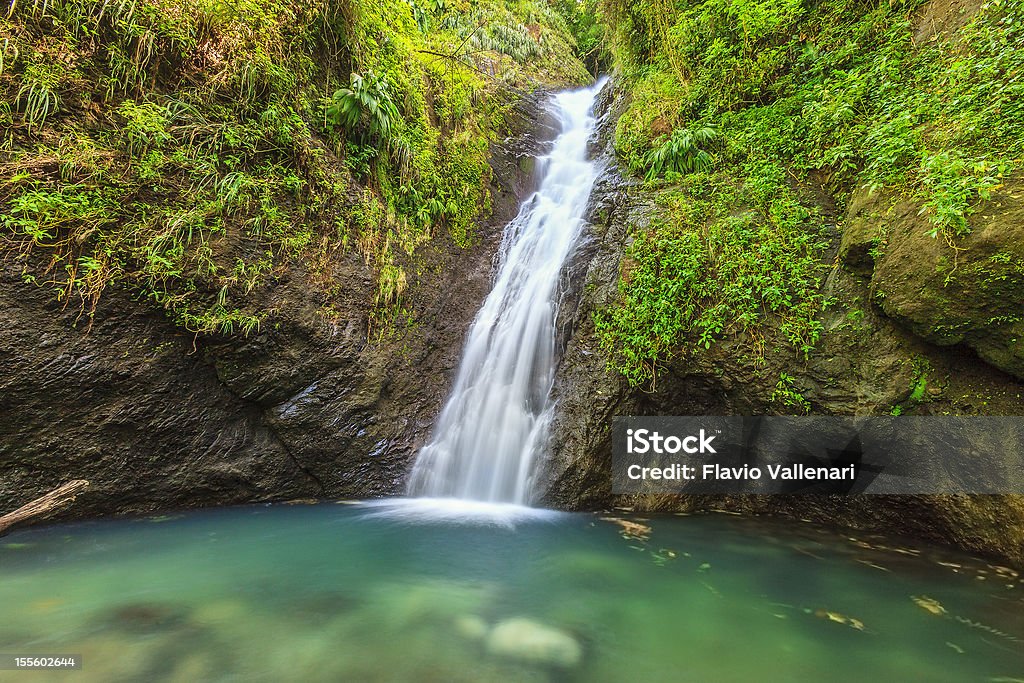 Au Moneta Falls, Grenada W.I. - Foto stock royalty-free di Acqua