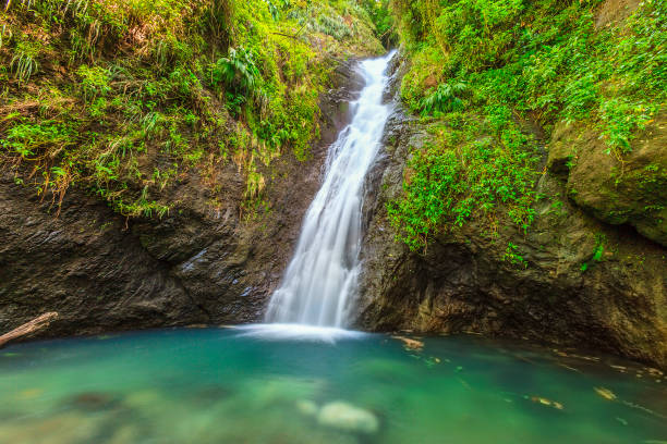 istock Au Coin Falls, Grenada W.I. 155602644
