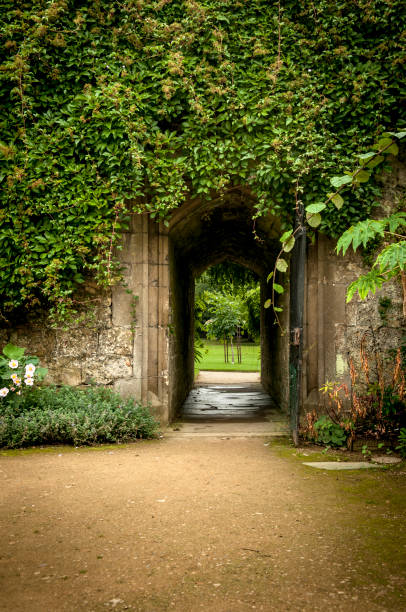 istock Secret Garden Door 155602739
