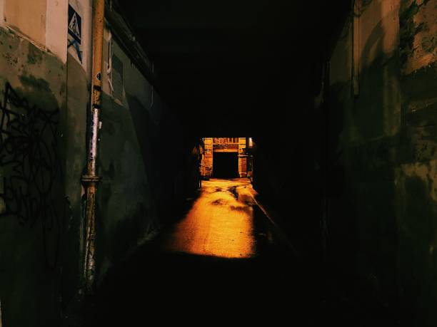 istock Empty alley at night after rain 1556051705