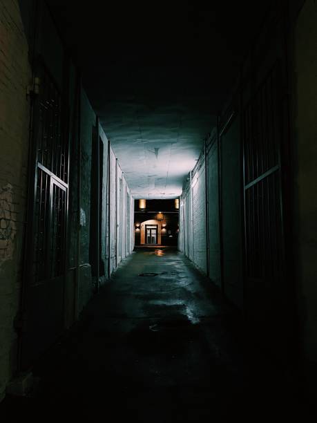 istock Empty alley at night after rain 1556052223