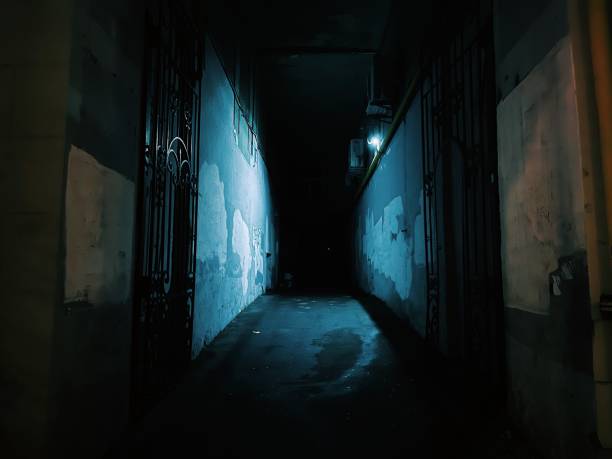istock Empty alley at night after rain 1556052233