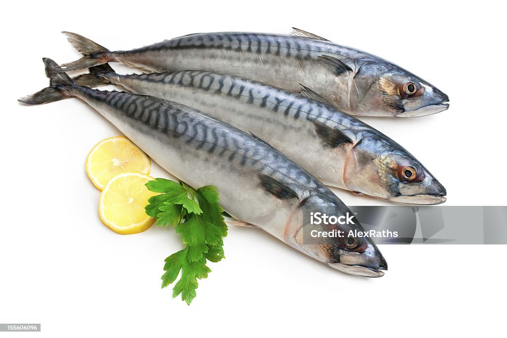 Mackerel fish Fresh mackerel fish (Scomber scrombrus) on white Animal Stock Photo