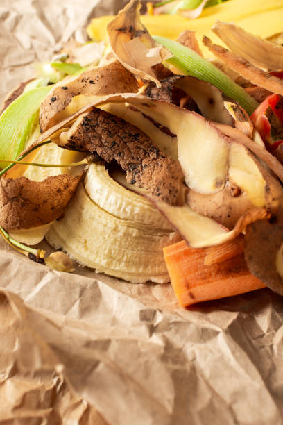 istock Food organic waste 1556062343
