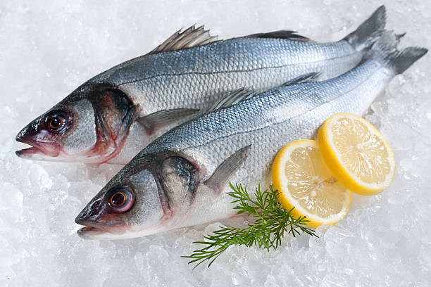 Two full sea bass fish on ice with lemon garnish Seabass (Dicentrarchus labrax) on ice at the fish market bass fish photos stock pictures, royalty-free photos & images