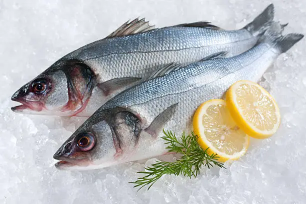 Photo of Two full sea bass fish on ice with lemon garnish