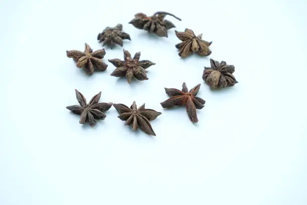 Star anise on a white background isolated. Medicinal herbs and spices.Indian spices close up.