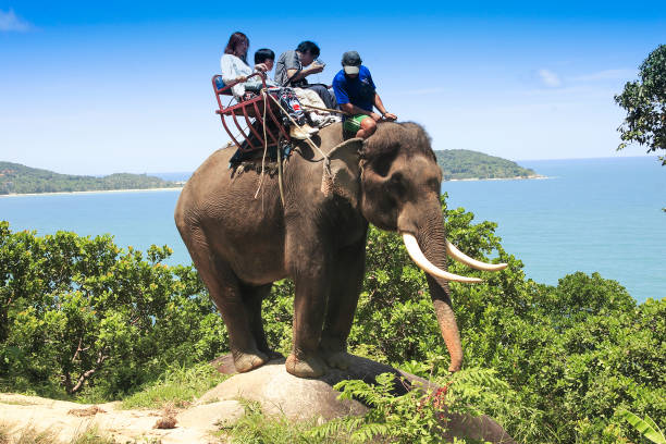 bangkok, tailandia, asia- 20 giugno 2023: turisti che cavalcano un elefante sull'isola di phuket, tailandia, asia - phuket province thailand tourist asia foto e immagini stock
