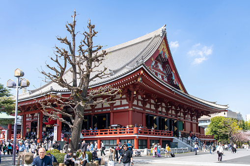 Tokyo, Japan- 1 April 2023; Buddhist Senso-ji Temple or Asakusa Kannon in Asakusa, Taito City ward with tourists and local around temple